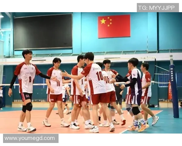 上海排球队在杯赛中的团队协作表现分析与启示