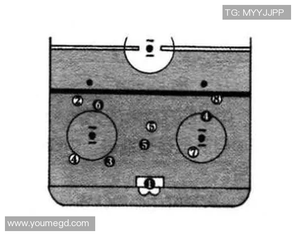 广州乒乓球队区域防守战术解析与实战应用研究
