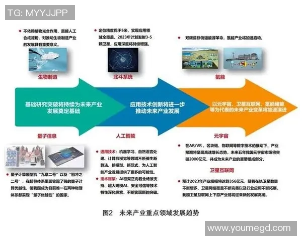 杭州乒乓球队大师赛精彩表现分析团队协作的重要性与未来展望