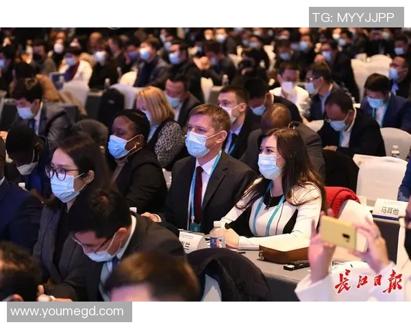 深圳排球队的蜕变之路：从传统强队到现代化竞技新标杆