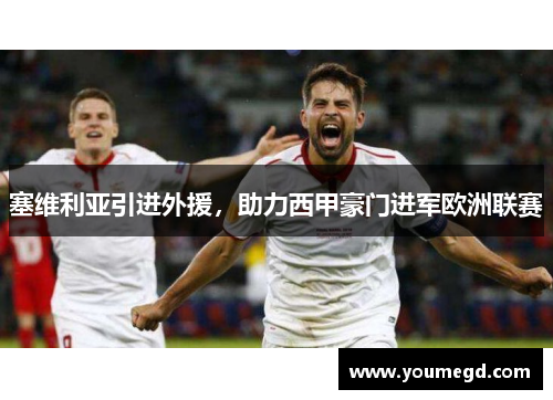 塞维利亚引进外援，助力西甲豪门进军欧洲联赛