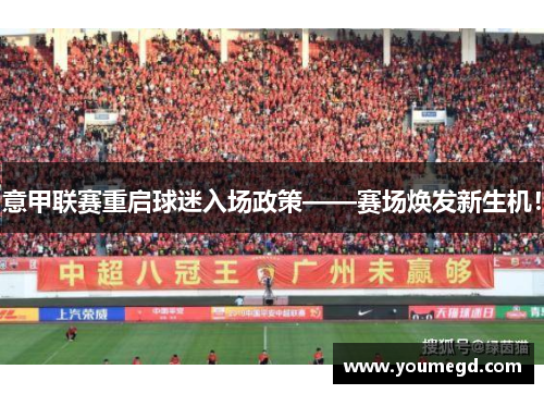 意甲联赛重启球迷入场政策——赛场焕发新生机！