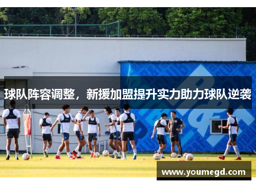 球队阵容调整，新援加盟提升实力助力球队逆袭