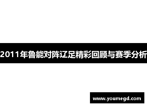 2011年鲁能对阵辽足精彩回顾与赛季分析